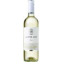 QTR BT FION - SANTA LUZ SAV BLANC
